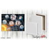 Tela con Foto - 50x70