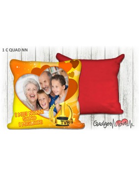 Cuscino quadrato 40x40 I miei Nonni sono i migliori